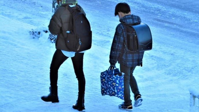 2022・1・7 雪がやんだ七草粥の朝