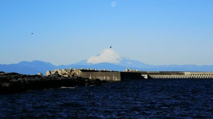 【中間】今週末は朝9時半から終日!!