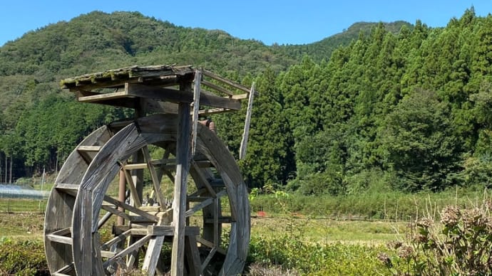 グレタトゥンベリー又変な事している