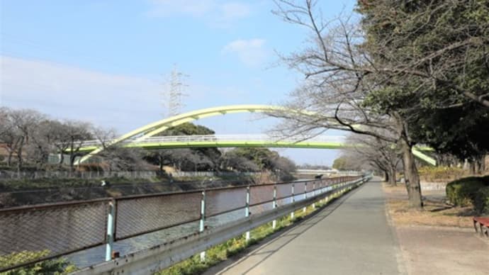 荒子川公園 今年最終の訪れです😏😏