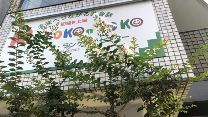 お盆休み終了〜 ウニクムのソーダ割り