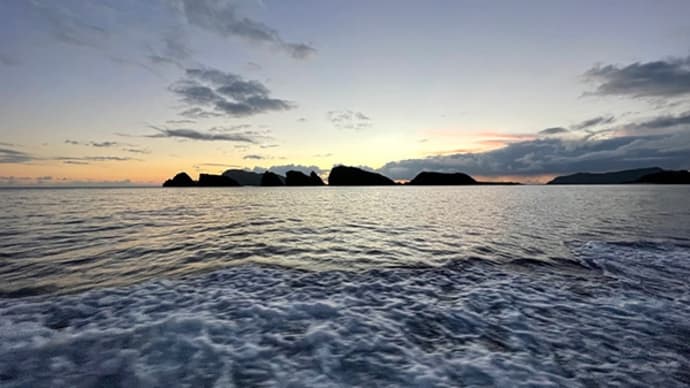 阿嘉島ライトトラップ(3) 2021.8.28 夜の部