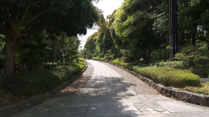 4月の見浜園:新緑の幕張海浜公園見浜園の回遊式庭園内を散策する PART1