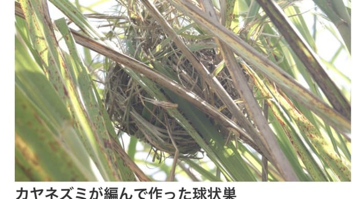 そうだったのか! プラス
