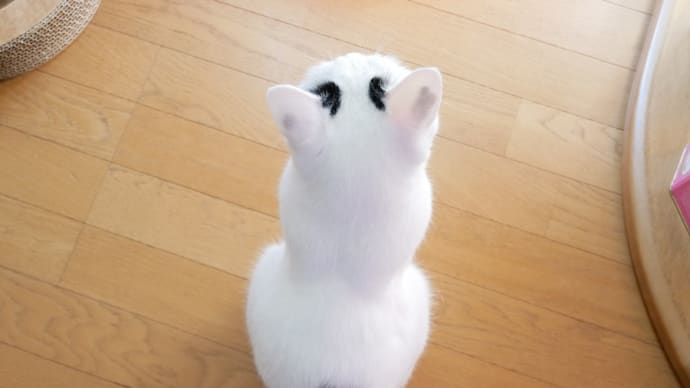 みっちり