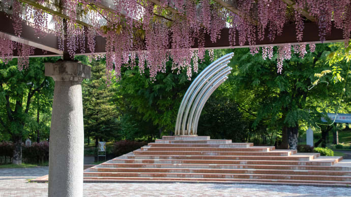 大泉中央公園と和光樹林公園 2023.04.28
