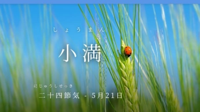 小満