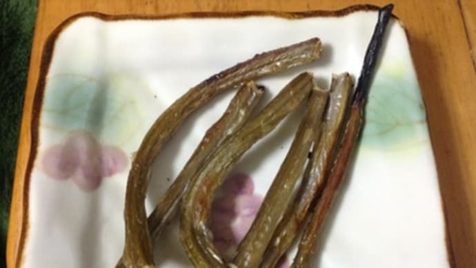 食の冒険者