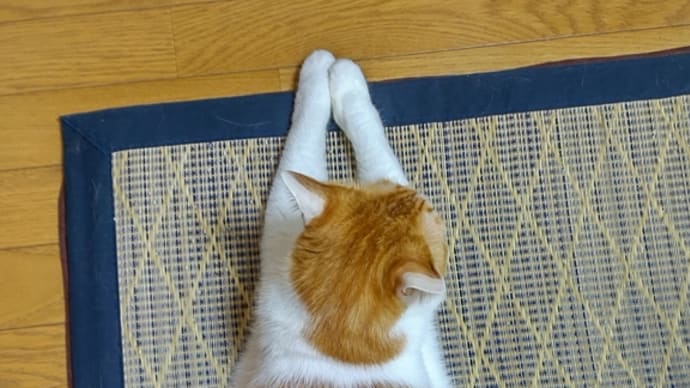 昔々…。