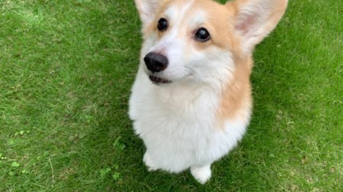 サボり…