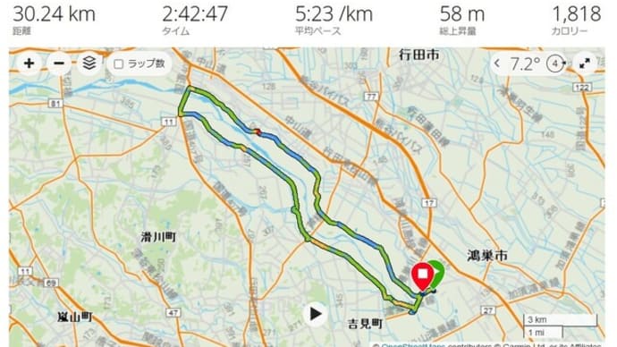 走り納め2024