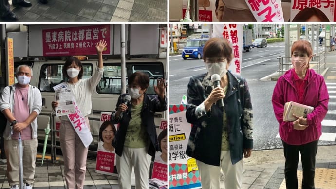 葛西駅前 原純子 全都患者•障害者後援会 宣伝