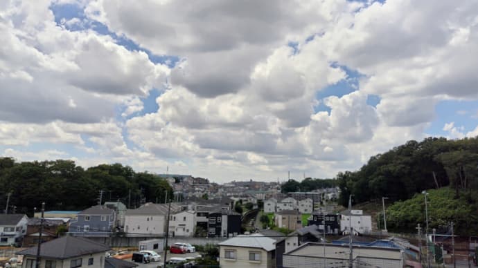 08月17日 やはり気温はもう一段上がった。