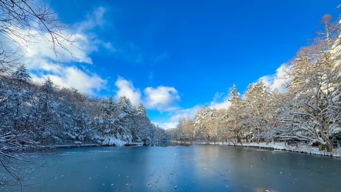 🌟冬の美しさ、軽井沢の雪景色🌟