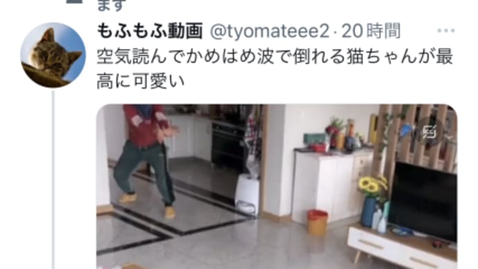 明日香ちゃんとみぽちゃんがフォロー