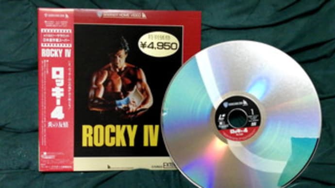 ロッキー知っていますか?(◔‿◔)