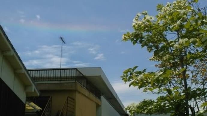 正午の空の環水平アーク♪(4月23日)