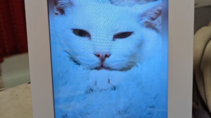 獣医さんに褒められた