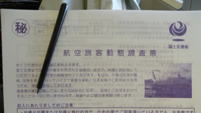 航空旅客動態調査