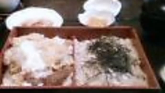 13-Jan-07 西武多摩川線から下河原線跡へ