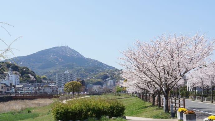 歴史ある高見の街で今年最後のサクラの花見・・・北九州市八幡東高見