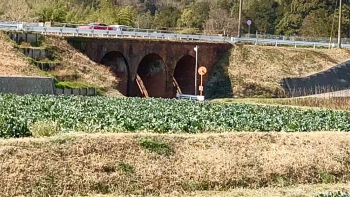 小児歯科・障害者歯科のご相談をよろしければ… 筑紫野市原田 のりこキッズマム歯科医院