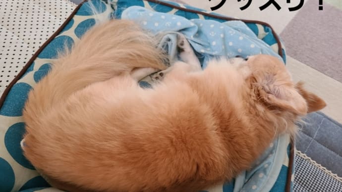 3コインと飲むわらびもち