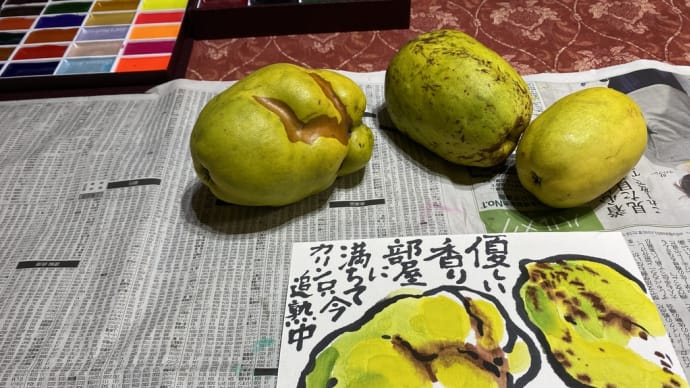 まーさんのジェルネイルと夫の皮膚回復のその後