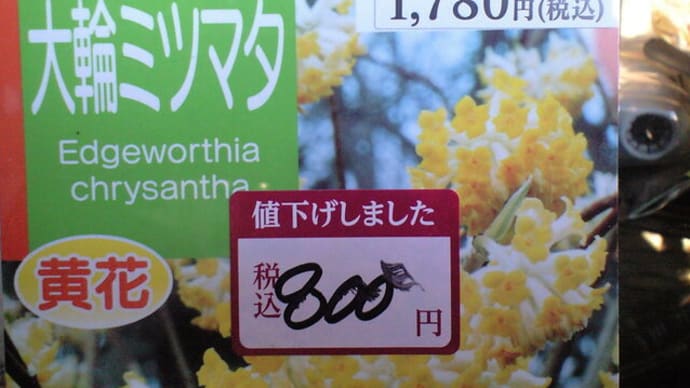 またいつのも病気が・・・・ 追記です