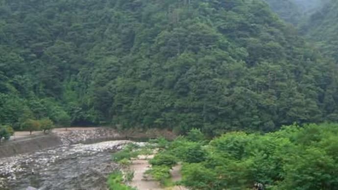 「フォトジェニックな利根川の旅!カメラを持って出かけよう」