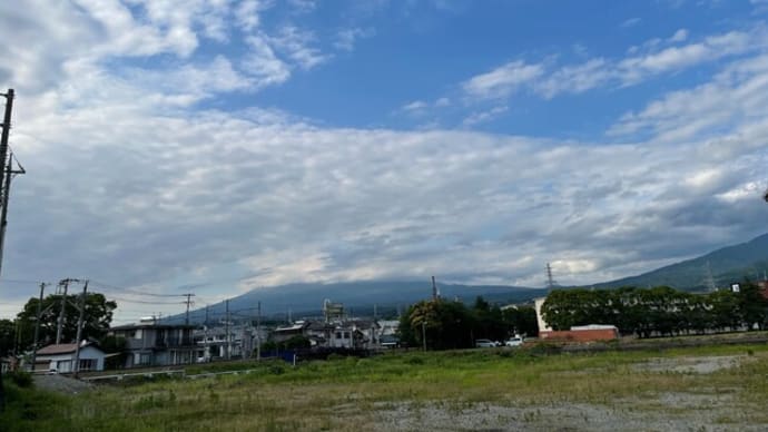 野菜の苗を植えて1か月たちました