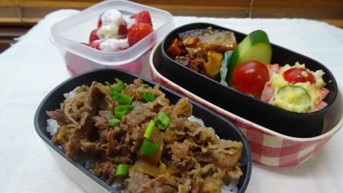 牛丼のお弁当と、ソーイング