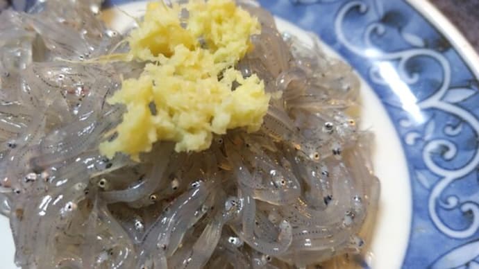 今年最後の