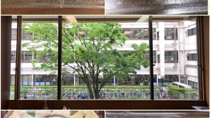 助けてって言えることも生きていくための大事な力です。虐待のこと。持ち帰り昼食のこと。お引っ越しが済んだこと。