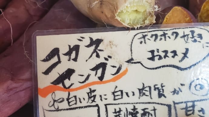 コガネセンガンさんがNijiUのふわふわビューティのアヤカちゃんに見える件について
