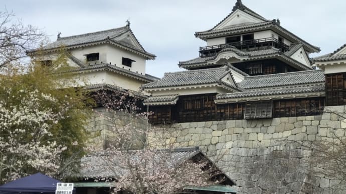 四国旅行 2022.2.26〜29 2日目 (松山-道後温泉)