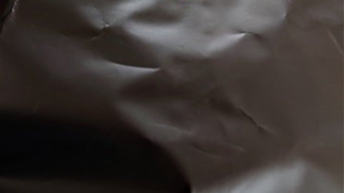 たむらの黒ポテ