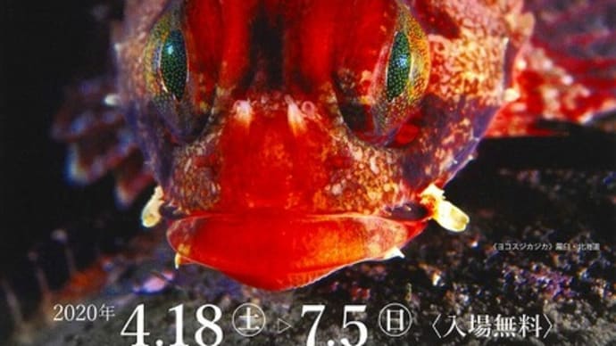 秋田県立近代美術館の展示についてのお知らせ