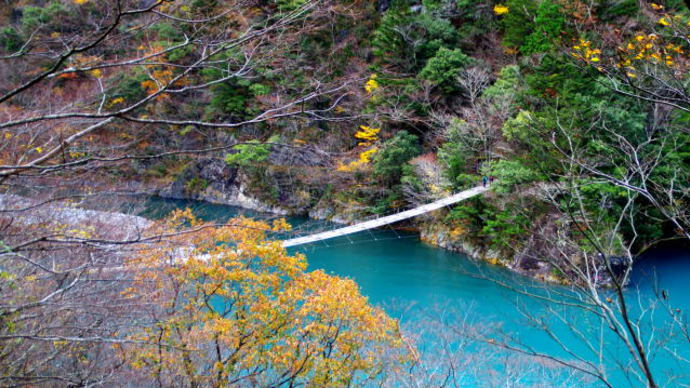 寸又峡の紅葉