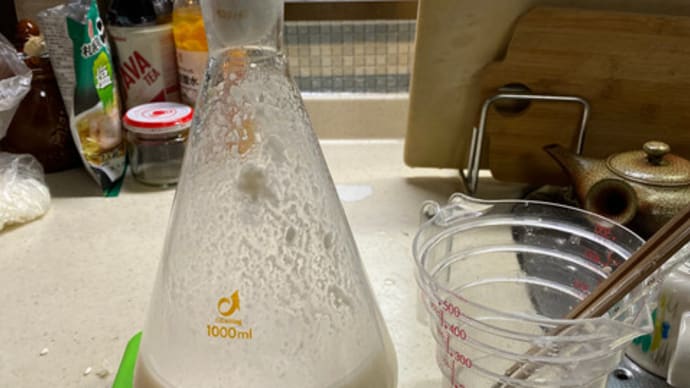 米の発酵実験パート2の準備