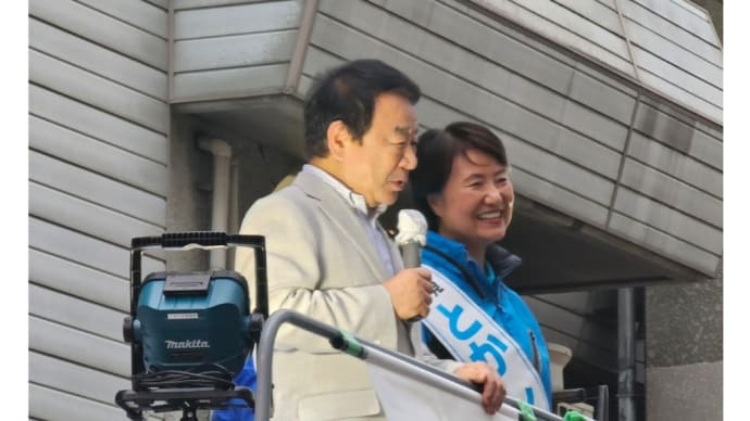 衆院大阪7区の渡嘉敷奈緒美さん(2024/10/31)