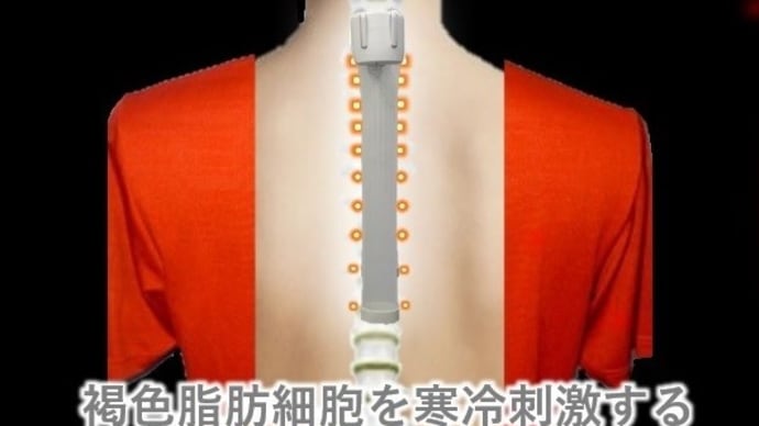 生活習慣病対策に褐色脂肪細胞を冷やして中性脂肪を減らす方法