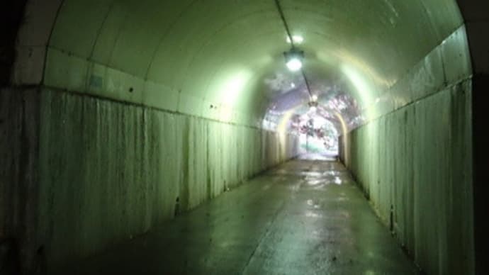 東山・花山トンネル、再び　＠　京都妖怪探訪（５７５）