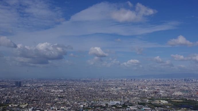 水呑地蔵から大阪平野の眺め・港大橋も大阪湾も見えた