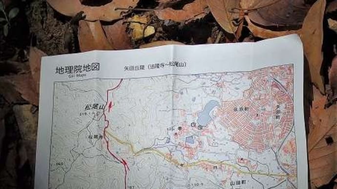 法隆寺から松尾寺、そして紫陽花の矢田寺巡りです。