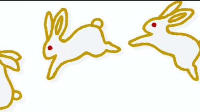 うさぎは翔びはねる!当たり前のことが以外と盲点になります!
