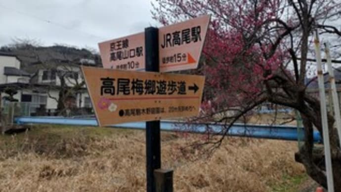 高尾梅郷遊歩道