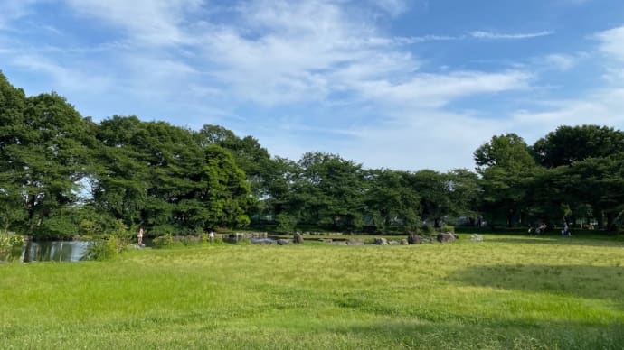 見沼たんぼ