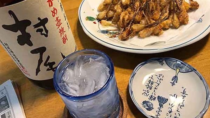 超大好物の島らっきょうの天麩羅!
