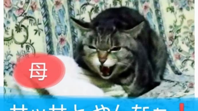 そうね! 土曜日Aクラス(2月後半) ②だあ❗️
